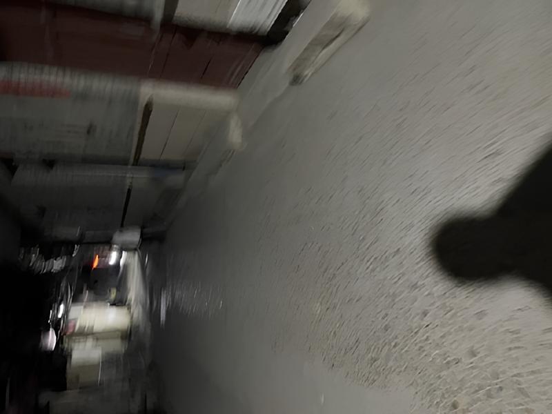 出差福州，早就听说胪厦、高湖人